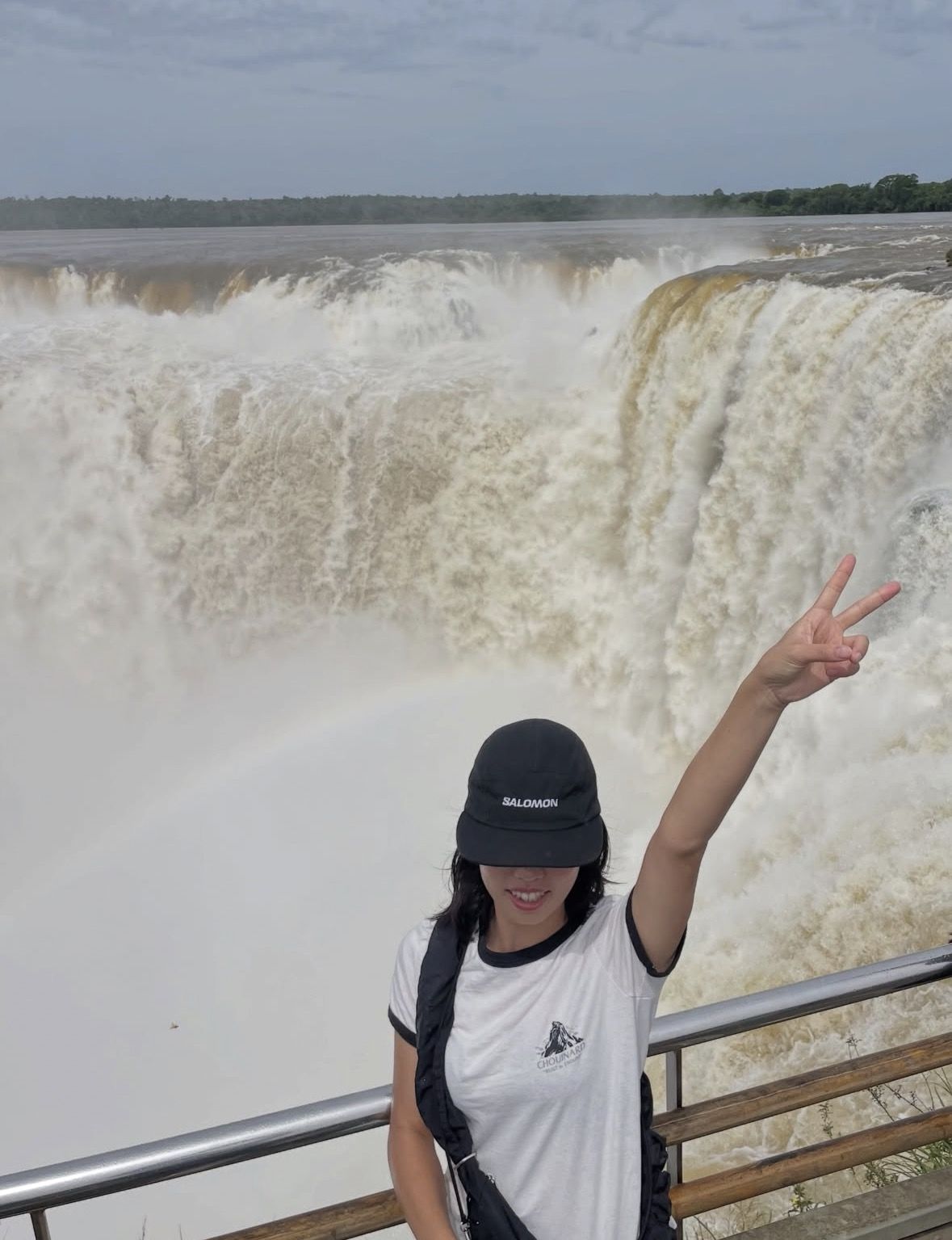 Iguazu Falls Tour, Boat Ride, Train and Safari Truck